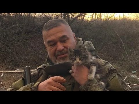 Видео: "Давай закурим, товарищ, по-одной..." Проект Тёплые Вещи
