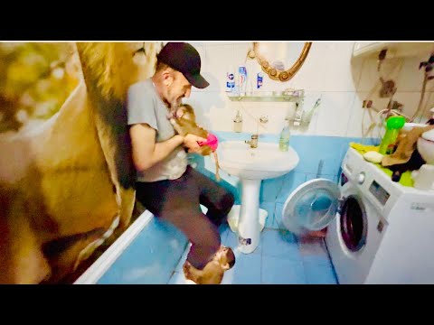 Видео: Маняше моют опу, а Степа, Басик и Сажик в ГРУППЕ ПОДДЕРЖКИ)))