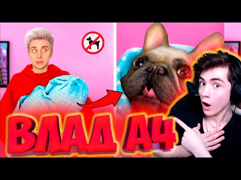 Видео: ВЛАД А4 14 Способов Пронести ЖИВОТНЫХ в КИНОТЕАТР ! РЕАКЦИЯ НА ВЛАДА А4