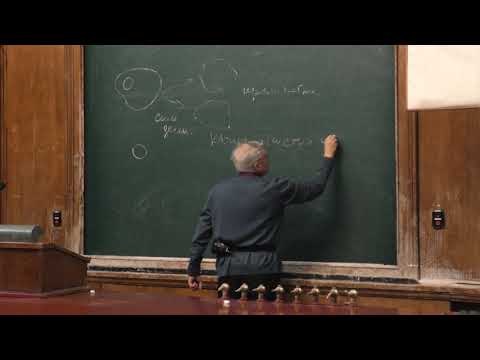 Видео: Копылов А. М. - Химические основы биологических процессов - 10. Биоинженерия