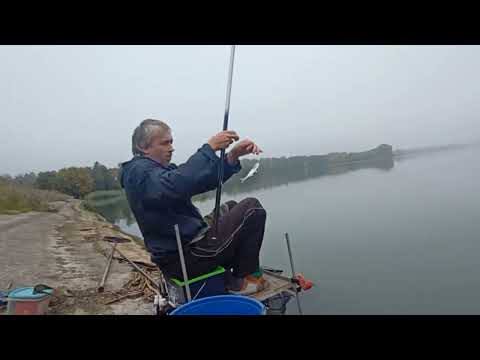 Видео: Уклейка осенью на мах.