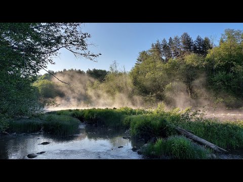 Видео: Красивые места реки Сясь.