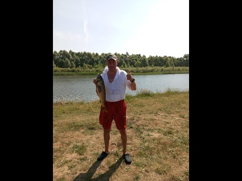 Видео: Рыбалка Меша сазан еще есть но не охотно берет