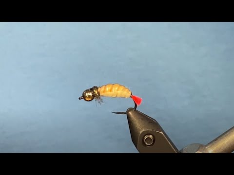 Видео: Мушка Личинка Короеда