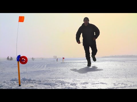 Видео: НАШЛИ ЩУКУ ПОСРЕДИ СТЕПИ! Рыбалка на Жерлицы за 300км от дома. Рыбалка 2024