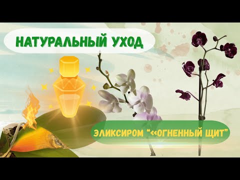 Видео: Орхидеи из Икеи и мой “Огненный щит