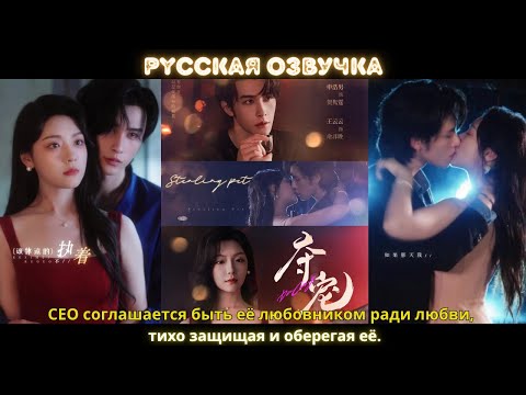 Видео: CEO соглашается быть её любовником ради любви, тихо защищая и оберегая её