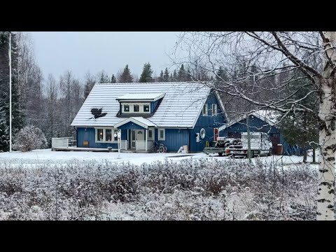 Видео: Зимові будні: сніг, спогади і сортування