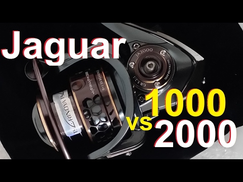 Видео: Спиннинговая катушка Tsurinoya Jaguar 1000 c Aliexpress - общий обзор и сравние.