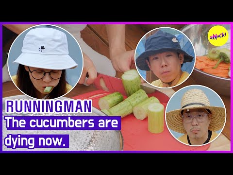 Видео: [RUNNINGMAN] Огурцы сейчас умирают. (АНГЛИЙСКИЕ СУБТИТРЫ)