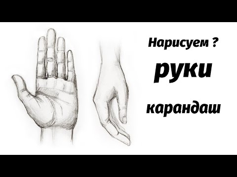 Видео: Как нарисовать руки карандашом