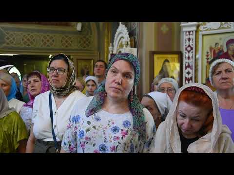 Видео: Слово митрополита Петра после Литургии в Свято-Димитриевском мужском монастыре (6 июля 2024 года)