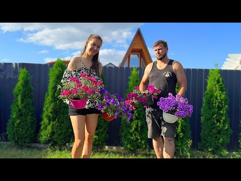 Видео: Фиаско с зоной отдыха 😱, будем переделывать! Выбираем растения 🌱, штукатурим купель 🛁 