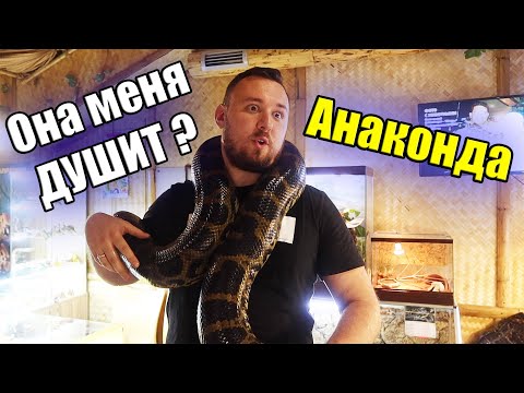 Видео: Везем СЕМЬЮ на ОТДЫХ / Муж рискует ЖИЗНЬЮ