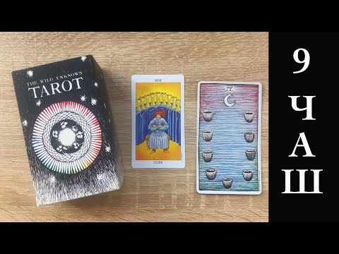 Видео: 9 кубков (9 чаш) - состояние Будды. Характер карты через символы Дикого Неизвестного Таро и др колод