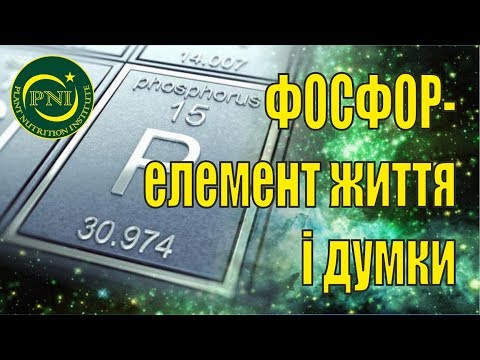 Видео: Фосфор і живлення рослин: ознаки дефіциту, ґрунти, добрива