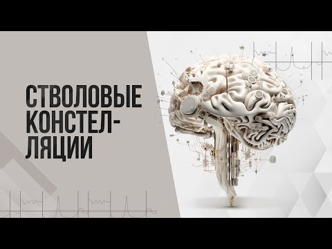 Видео: Стволовые констелляции | ГНМ