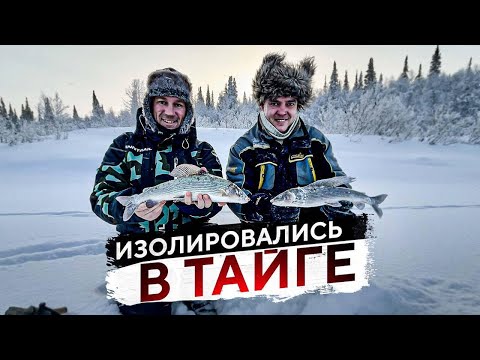 Видео: УЕХАЛИ В ГЛУХУЮ ТАЙГУ! РЫБАЛКА КАК НА ЧЕРНЫХ КАМНЯХ. Вкуснейшая  рыба. Снегоходная экспедиция. Ч.2