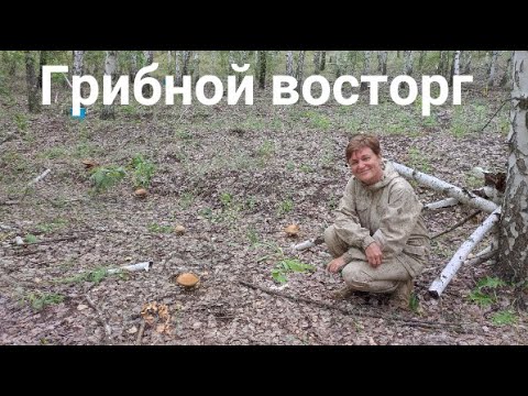 Видео: Грибы нашли! Целую поляну.