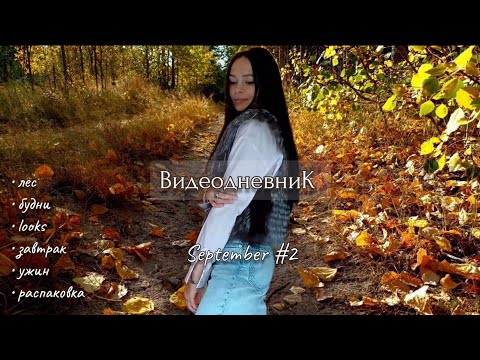 Видео: 🗓 September VLOG #2 🍂 | Уютный ВЛОГ | Осенняя прогулка | Осень в лесу | МОИ БУДНИ | Готовлю УЖИН