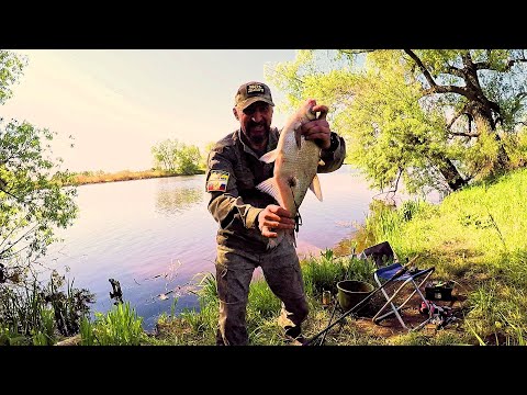 Видео: Клёв как на "Черных камнях". Еле достал садок с рыбой из воды😄 . Погодка, Природка.. и Быть Добру!!!