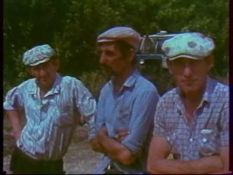 Видео: СОЛОДЧА