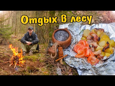 Видео: Отдых в лесу. Полевая кухня: Картошка с мясом на углях. Бушкрафт. Весна