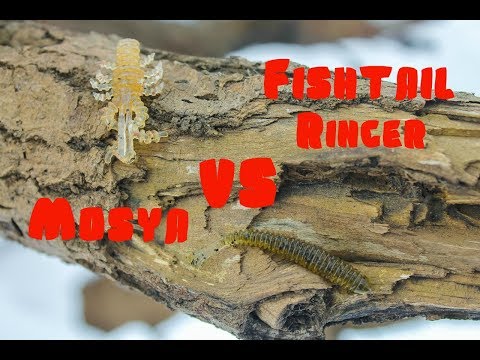 Видео: Кто круче? Mosya VS Fishtail Ringer