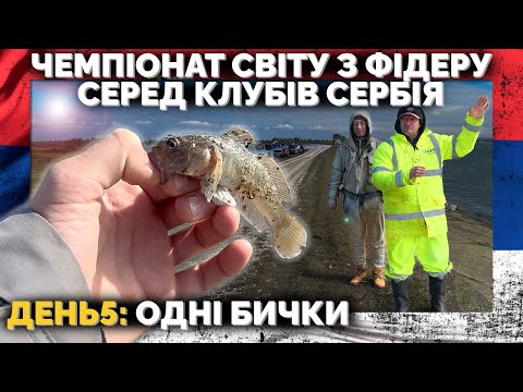 Видео: ⚠️ Перше тренування❗️Знайомимося з річкою❗️Чемпіонат СВІТУ з ФІДЕРУ серед КЛУБІВ 2025  🌍  ДЕНЬ 5