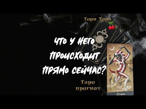 Видео: 👀🤔Что у Него происходит ? Что в доме, в жизни и вообще?