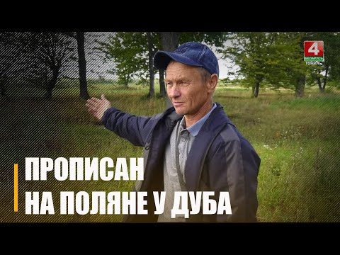 Видео: Дом закопали! Под Чечерском мужчина приехал с заработков, а вместо дома — поляна и 2 дуба