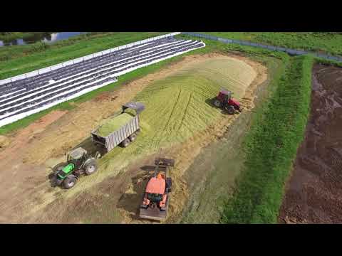 Видео: Зерносенаж 2020. Уборка зерновых.