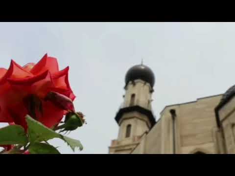 Видео: Усман Эльмурзаев: Х1усум Нанни , Х1усум Дени х1уоьш