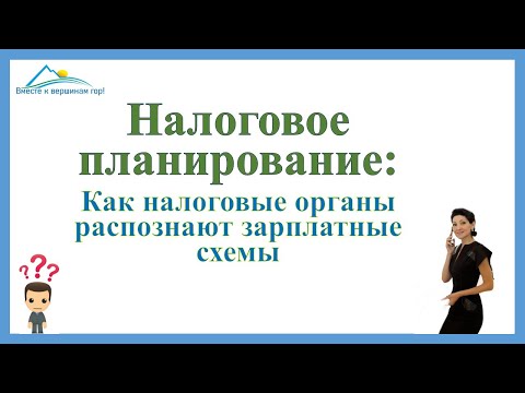 Видео: Как налоговые органы разоблачают зарплатные схемы. Как не привлекать внимание инспекторов.