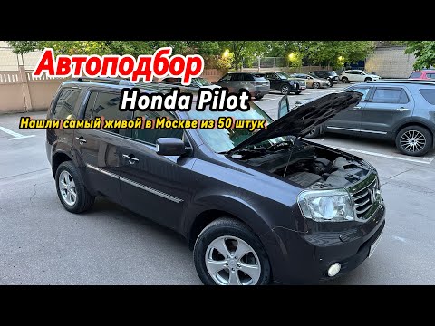 Видео: Автоподбор Honda Pilot с адекватным владельцем!