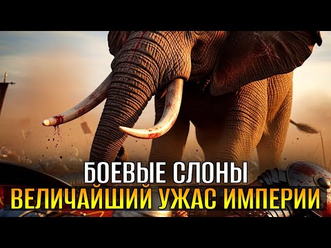 Видео: РИМЛЯНЕ Разгадали СЛАБОСТЬ БОЕВЫХ Слонов: 50 000 Пало – Тактика ШОКИРОВАЛА Врагов