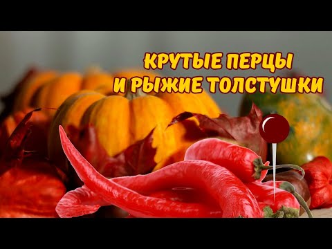 Видео: Тыквы и паприка на выставке 2025, Рига