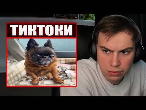 Видео: ГЛЕБ СМОТРИТ ТИКТОКИ ОТ ЗРИТЕЛЕЙ #27 | Sasavot