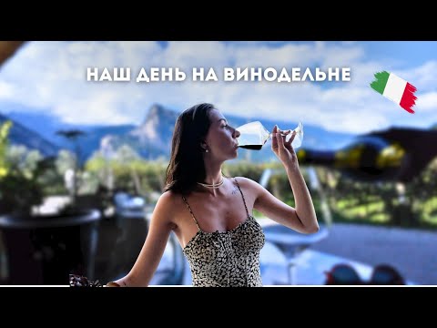 Видео: Дегустация вина в итальянских Альпах 🍇 | Винодельня Fratelli Pisoni