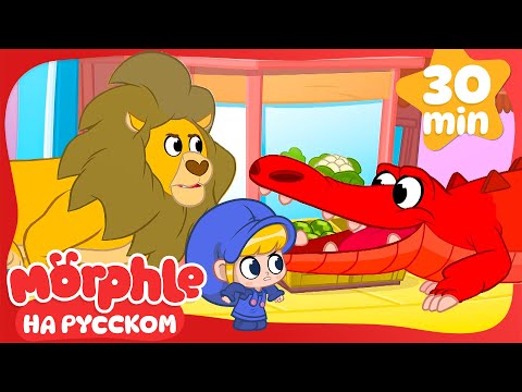 Видео: Время животных!🔴Морфл и волшебные питомцы🔴мультики для детей