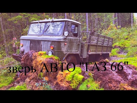 Видео: бизнес грузоперевозки газ 66 чистая прибыль работа на себя камаз Зил тюнинг гараж заказы авто грязь