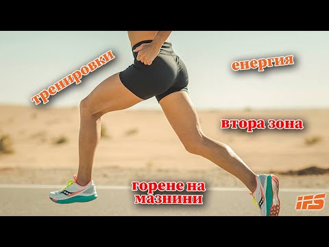 Видео: При какви тренировки горим най-много мазнини за енергия | Втора зона | Иниго Сан Милан