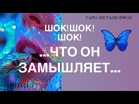 Видео: 🦎 КАК У НЕГО ХВАТИЛО УМА ТАКОЕ ПРИДУМАТЬ... Я его чуть не выгнала со стола💚