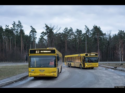 Видео: Автобус №63|Bus №63 Масив Лісовий - Ст.м. "Червоний хутір"