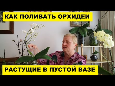 Видео: КАК ПОЛИВАТЬ ОРХИДЕИ В ПУСТОЙ ВАЗЕ..КАК УЕХАТЬ В ОТПУСК ОТ ОРХИДЕЙ