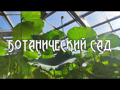 Видео: Шикарная прогулка по Ботаническому саду Петра Великого