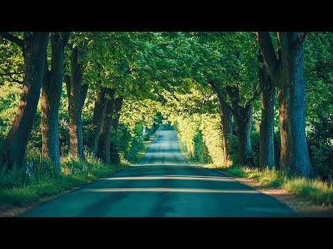 Видео: лечебная музыка для сердца и сосудов - Нежная музыка, успокаивает нервную систему и радует душу #4