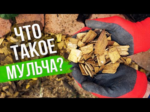 Видео: Чем мульчировать почву? ГЛАВНЫЕ ПРАВИЛА МУЛЬЧИРОВАНИЯ