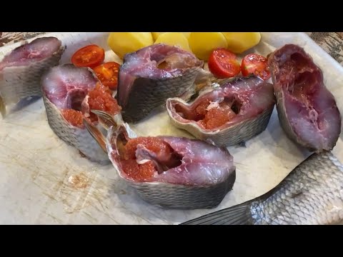 Видео: Солим Жереха и Толстолоба. Прямой посол