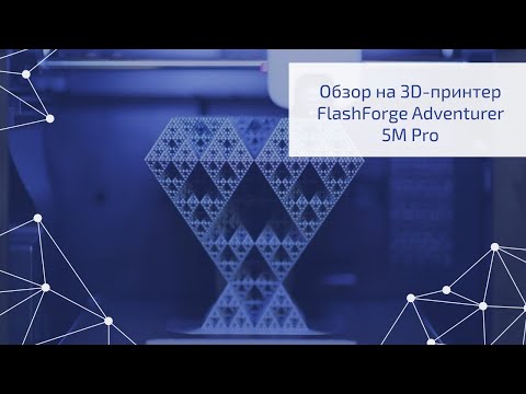 Видео: Обзор 3D-принтера FlashForge Adventurer 5M Pro